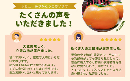 柿 早生次郎柿 約4kg | 先行予約 柿 埼玉県 杉戸町
