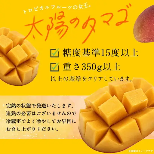 【先行受付!】宮崎県産完熟マンゴー 太陽のタマゴ【4L×2玉】化粧箱入り≪2027年5月中旬以降順次お届け≫〔41-0101〕_(都城市)