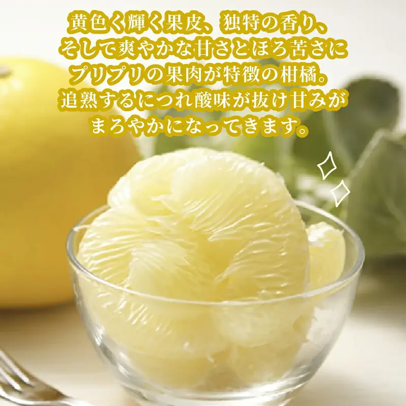 準贈答用 文旦 5kg ！矢野青果 B012-171012