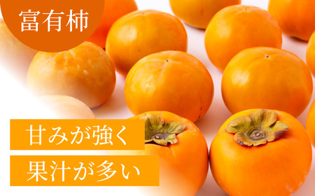 【先行予約】有機配合肥料使用 富有柿 10玉から12玉 2026年11月上旬から11月下旬 出荷予定【春光園】 柿 かき 甘柿 甘い 果物 フルーツ