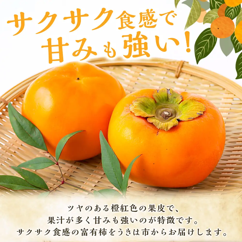【先行予約】道の駅うきは 富有柿 14玉から15玉 2026年11月上旬から11月下旬 出荷予定