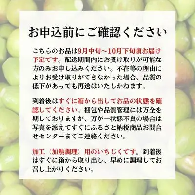 生いちじく 果物 北限のいちじく ホワイトゼノア 生いちじく【2kg】