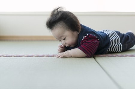 フローリング用たたみ「たたみ育」2枚065-001