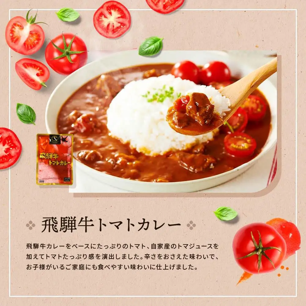 飛騨牛レトルト4種12袋セット カレー | カレー  ビーフシチュー  DC002VC13