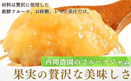 自家栽培 フルーツジャム 詰め合わせ セット （ 3種類 x 2個 ） 6個 入 | フルーツ 果物 くだもの いちご 苺 ブルーベリー 桃 もも ストロベリー ピーチ ジャム レモン 果汁 無添加 奈良県 五條市 西岡農園 安心 安全 果肉 濃厚 贅沢 新鮮 低農薬栽培 お取り寄せ 送料無料 農家直送 産地直送 フレッシュ 食べ比べ
