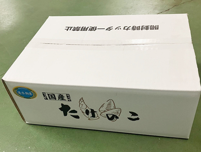 工場直送！国産 筍水煮 1ケース (20袋) [0779]