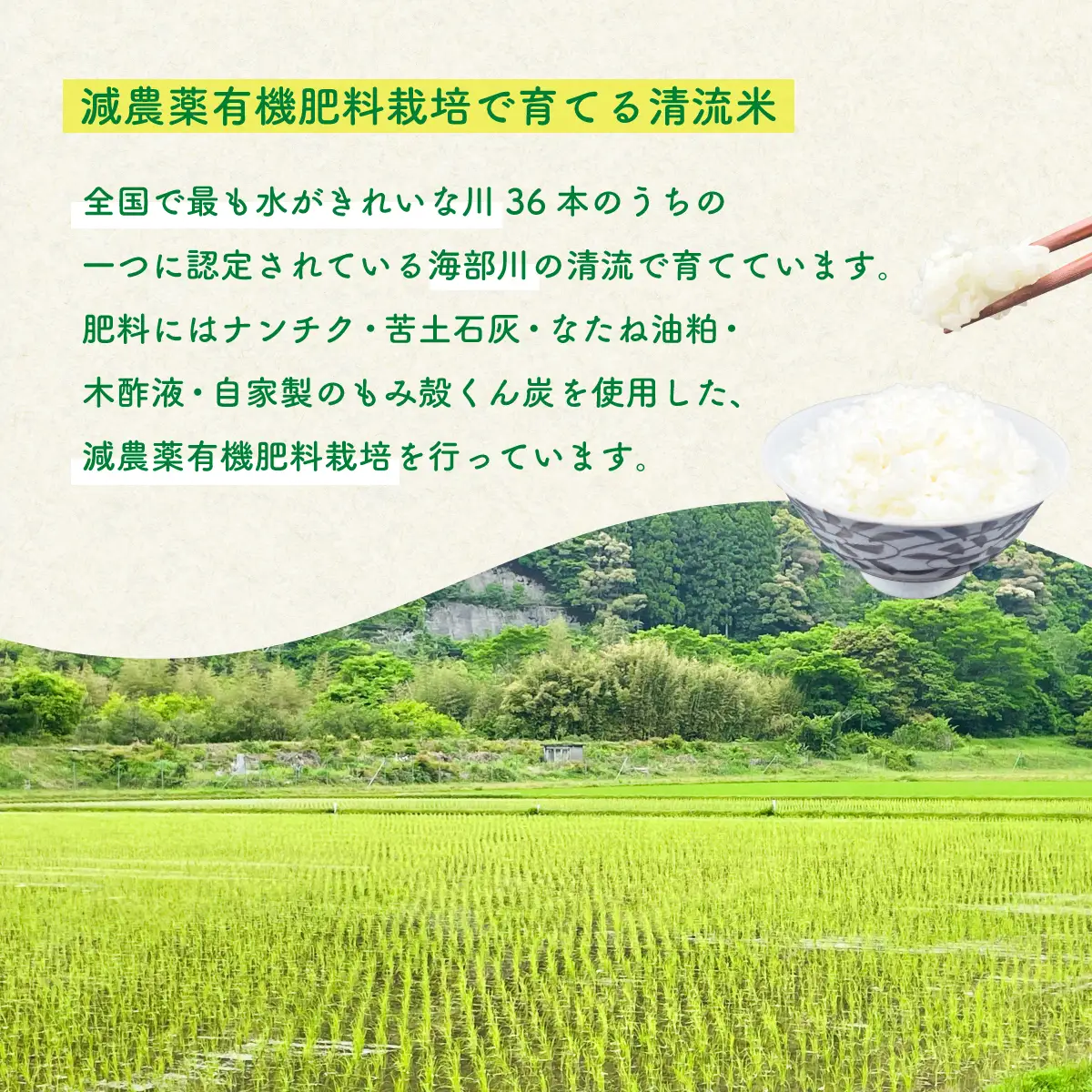 認定エコファーマー栽培　海部清流米コシヒカリ５㎏