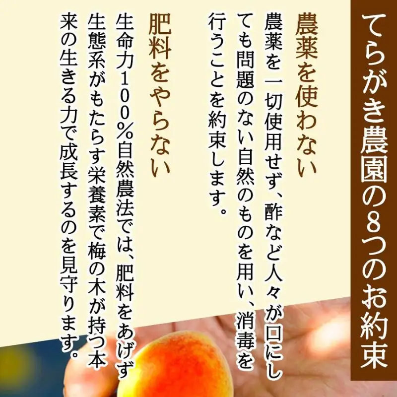 てらがき農園スペシャル　三種セット（冷凍）　trgk005A【trgk005A】