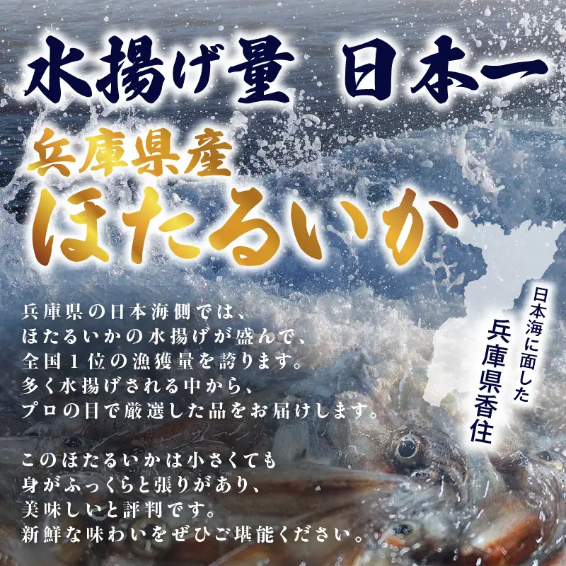 《先行予約》 ボイル ホタルイカ 250g×2パック 500g 酢味噌付 【令和9年3月以降発送予定】 ほたるいか いか イカ 10-13