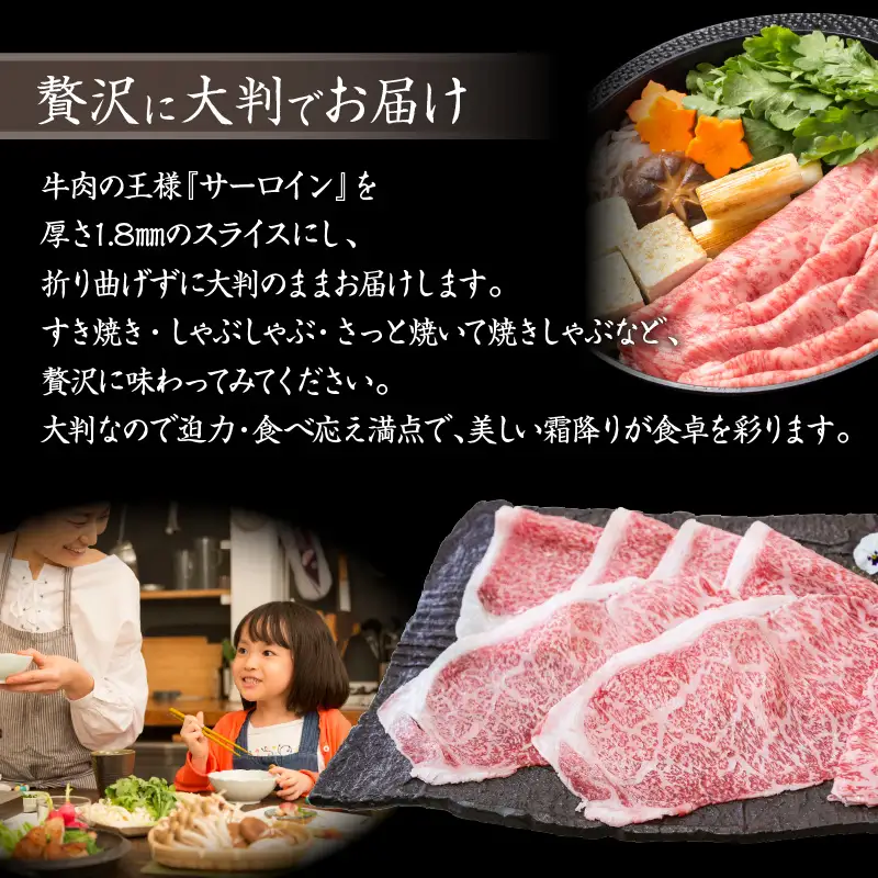 【 訳あり 】 A5 等級 黒毛和牛 サーロイン 大判 スライス 500g × 2P K002-032 肉 牛肉 冷凍
