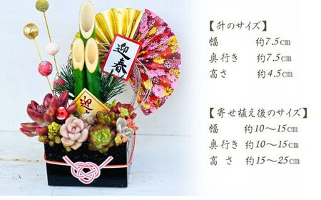 【先行受付】多肉植物のミニ門松 | 豊後高田市 門松