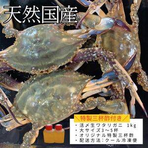 活〆 生 ワタリガニ (大) 1kg 3~5杯 オス 冷凍 特製 三杯酢付き セット 旬 期間限定 海鮮 魚貝 魚介 新鮮 わたりがに ワタリガニ