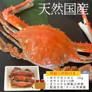 浜ゆで ワタリガニ (大) 1kg 3~5杯 オス 冷凍 特製 三杯酢付き セット 旬 期間限定 海鮮 魚貝 魚介 新鮮 わたりがに ボイル ワタリガニ