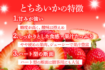 [先行予約] 日光産 とちあいか＆スカイベリー 約300g×各1パック 計600g 【2027年1月中旬から順次発送】 [0971]