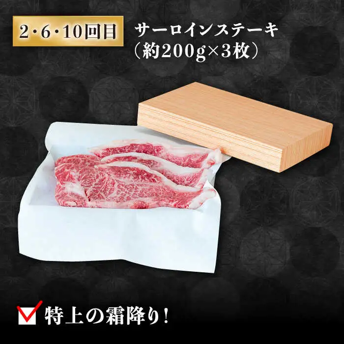【豪華12回定期便】長崎和牛 食べ比べ [SCH055] ヒレステーキ ヒレ