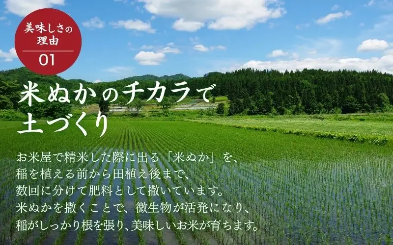 ＜全6回定期便＞ 米 岡山県産精米 令和7年産コシヒカリ『 一心良米 』無洗米10kg(5kg×2袋）×6回定期便 【tkns-tkb037-cho】