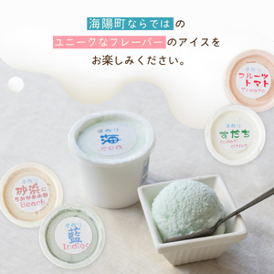 【定期便連続３か月】海陽町特製アイス　ユニークな味６種類セット！　