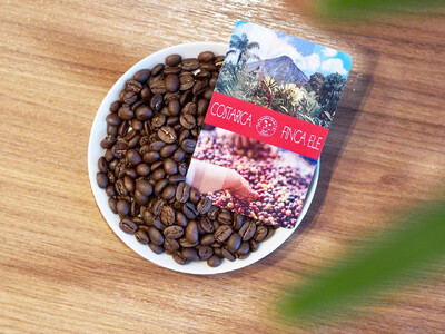 【コーヒー豆 定期便 12回】 200g×1種類 世界を旅する コーヒー 酸味は苦手、浅煎り抜き 『焙煎幸房“そら”』 定期便