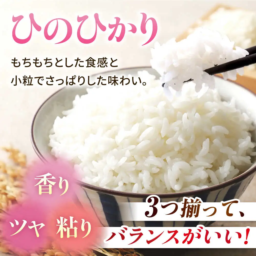 令和8年度産米【6回定期便】山鹿のお米 ヒノヒカリ 5kg【有限会社 あそしな米穀】[ZBI025]