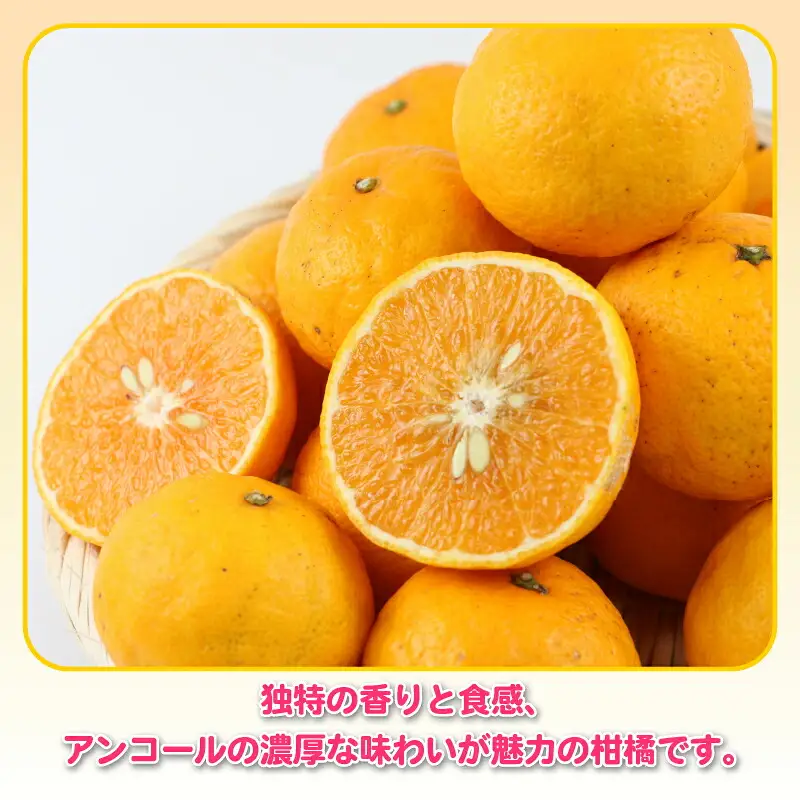 訳あり ひめのつき 5kg 杉本屋 柑橘 柑橘 B010-143007