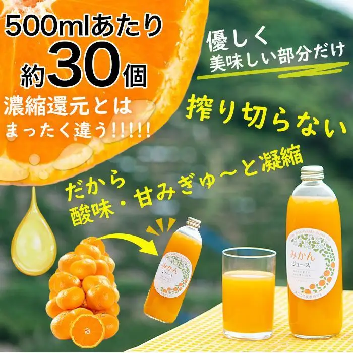 みかんジュース【お中元・のし対応】お中元 和歌山県産みかんジュース
