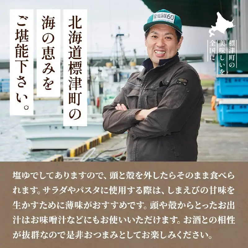 【令和8年 新物】北海しまえび 中 500g (1パック) えび 【AV】