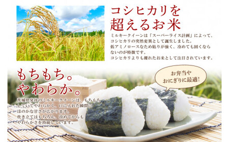 茨城のお米食べ比べセット　茨城コシヒカリ 5kg×1袋 ミルキークイーン 5kg×1袋 合計10kgセット (KY-15)