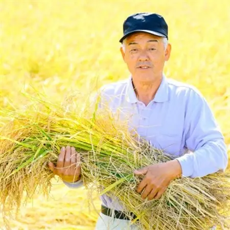 R8年産 秘境の地の砂金米 こがねもち 精米2kg【1441587】