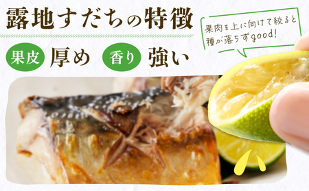 露地栽培すだち 1kg すだち