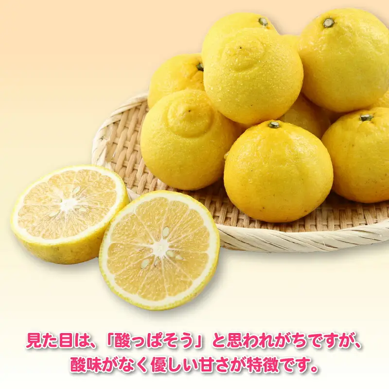 はるか 訳あり はるか 5kg 杉本屋 B010-143008