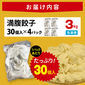 満腹餃子 リピーター続出！ボリューム満点！120個（３kg ）老舗 大容量 国産 焼き餃子 冷凍 ぎょうざ ギョーザ 冷凍餃子 簡単調理 惣菜 おかず おつまみ スタミナ 高評価 水戸市 茨城県（EJ-13）