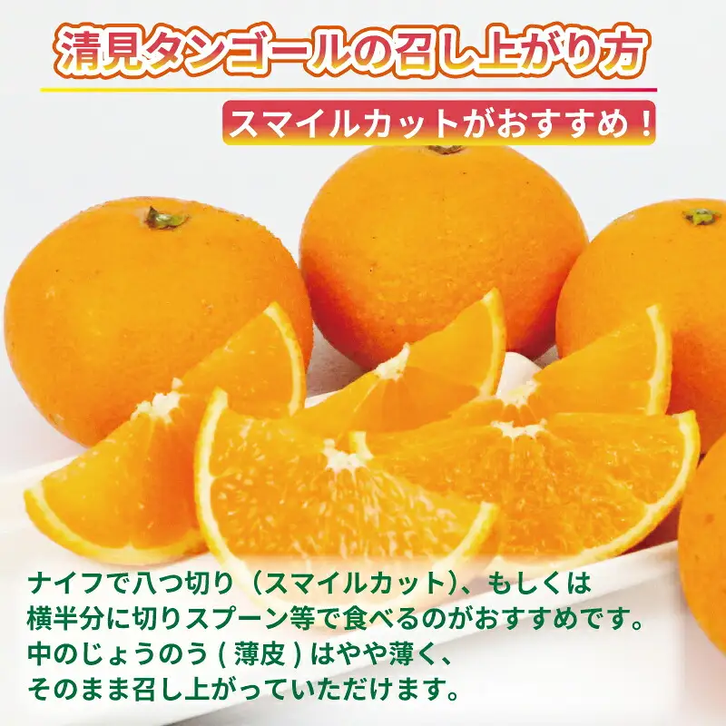 訳あり 清見 オレンジ 5kg 杉本屋 オレンジ B010-143011