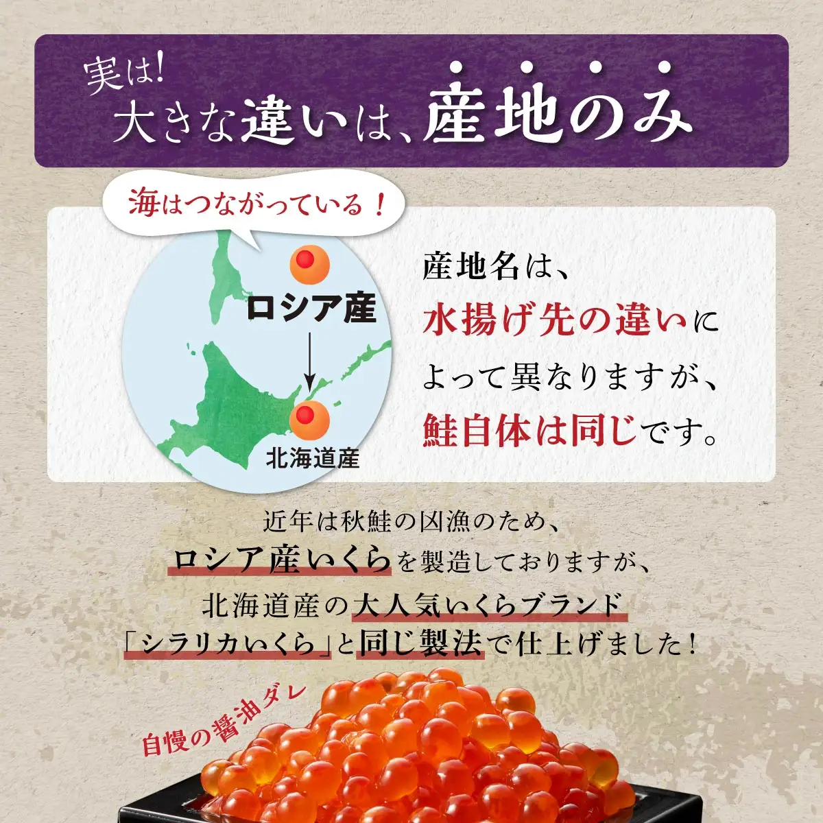 いくら醤油漬（鮭卵） 800g(200g×2パック×2箱)_K045-1677