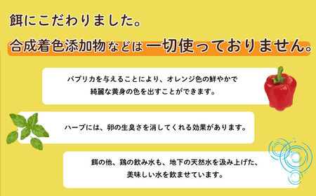 【6回定期便】たまご 計180個 たまご