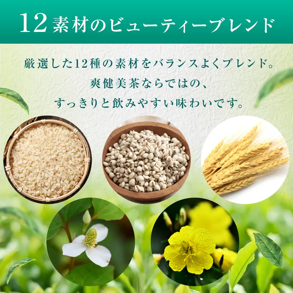 爽健美茶 300mlPET×24本×2箱　【11100-0541】カフェインゼロ 香ばしい おいしい ブレンド茶 お茶 ハトムギ 玄米 大麦 ドクダミ植物素材 飲料 飲みきり 水分補給 備蓄 防災 人気 おすすめ