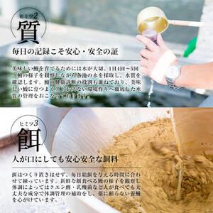極うなぎ蒲焼き2尾(計260g以上)と真空包装米なつほのか(計300g・1合相当×2P) うなぎ 鰻 ウナギ 2尾 国産 鹿児島県産 蒲焼き 冷凍 うな重 ひつまぶし タレ 山椒  米 真空 真空包装 a6-056