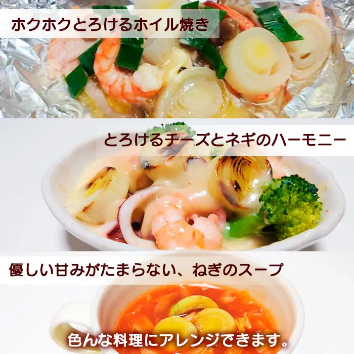 岩手県産 リーキ 1kg 【みのり風土】 ／ 西洋ねぎ ポロネギ ポワロ ポロ ポアロ リーク