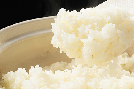 【令和7年産】食べ比べ　にじのきらめき・コシヒカリ 合計4kg【荒川アグリ】｜米 コメ こめ ごはん ご飯 ゴハン 白飯 単一米 国産 コシヒカリ こしひかり にじのきらめき にじきら 4kg 茨城県 古河市 着日指定可 ※2025年10月上旬頃より順次発送予定 _DH05