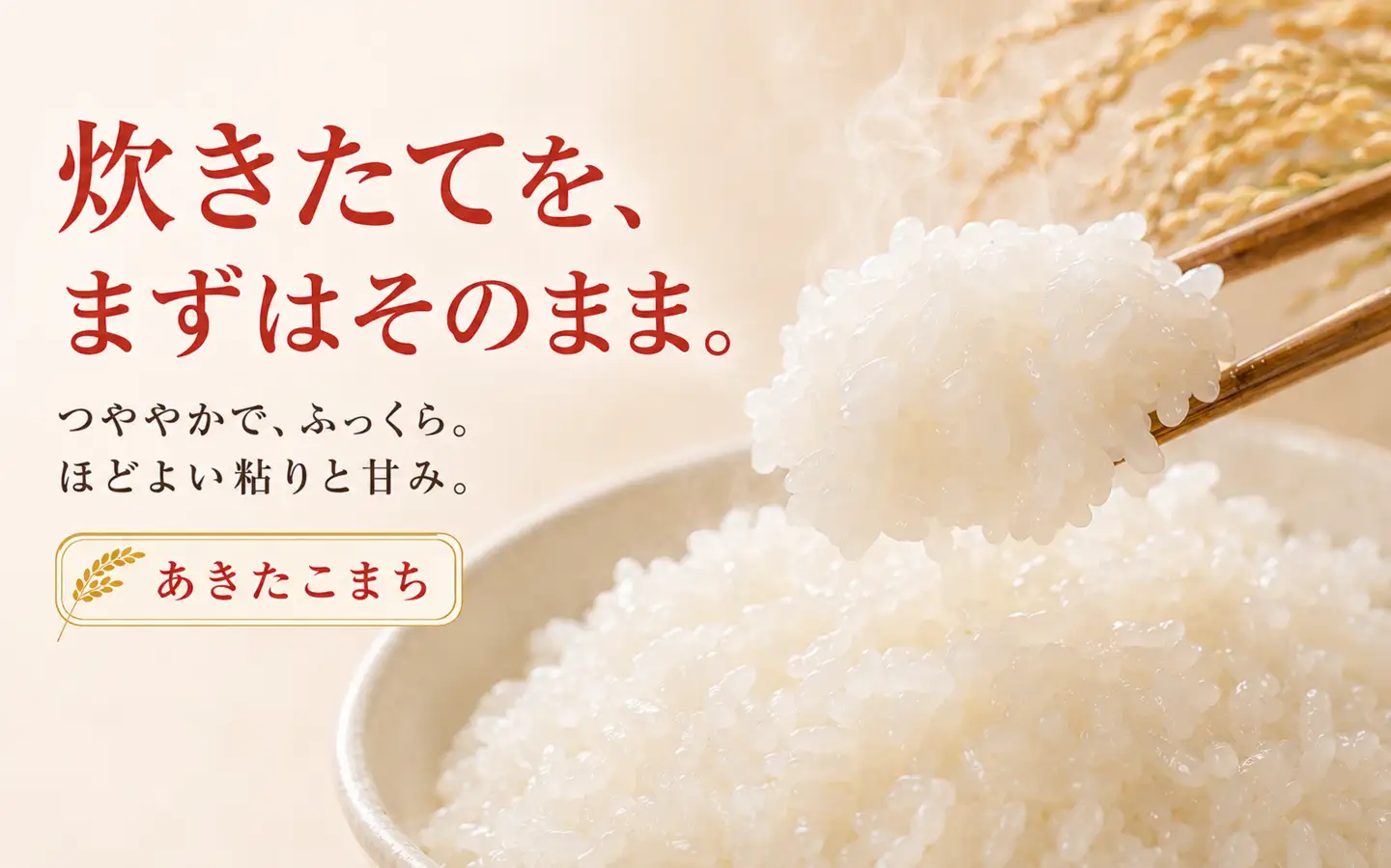 限定100件【新米・先行予約】あきたこまち5kg 信濃町産 令和8年 精米 2026年9月下旬発送予定 黒姫山麓 霧下 米 長野県信濃町