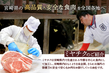 宮崎牛 肩 ロース ウデ スライス セット 計700ｇ 牛肉 肉 国産 しゃぶしゃぶ すきしゃぶ スライス 食べ比べ 小分け 赤身 ブランド牛 ギフト 贈り物 九州 宮崎 霜降り_A0001-058