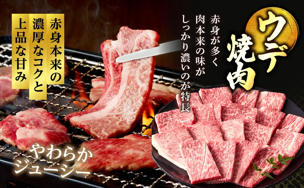 宮崎牛 焼肉 食べ比べ セット 1.1kg 牛肉 肉 国産 焼き肉 スライス 小分け 赤身 ブランド牛 ギフト 贈り物 九州 宮崎 霜降り 赤身_A0001-064