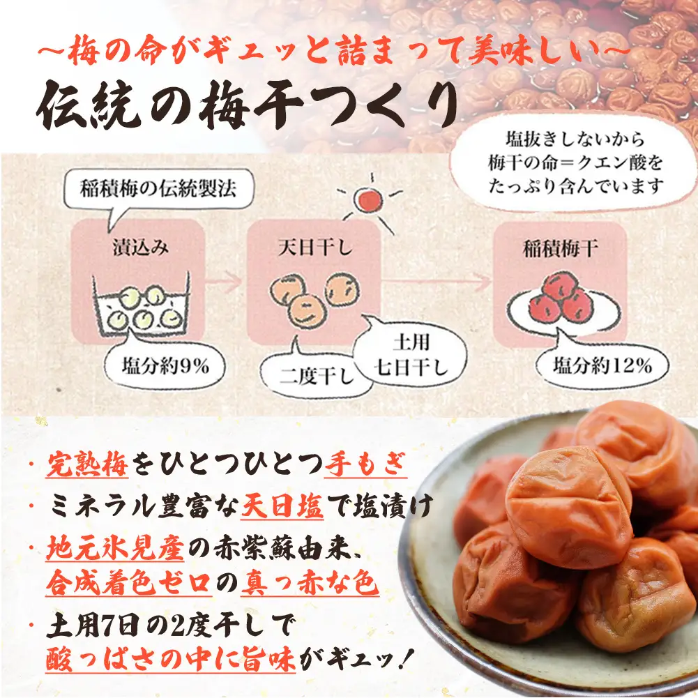 梅干し お米（10kg）付き！　｜　富山県 氷見市 固定種 稲積梅 梅 梅干し 手作り 果実 昔ながら 無添加 酸っぱい 肉厚 お米 セット GI認証 GI登録