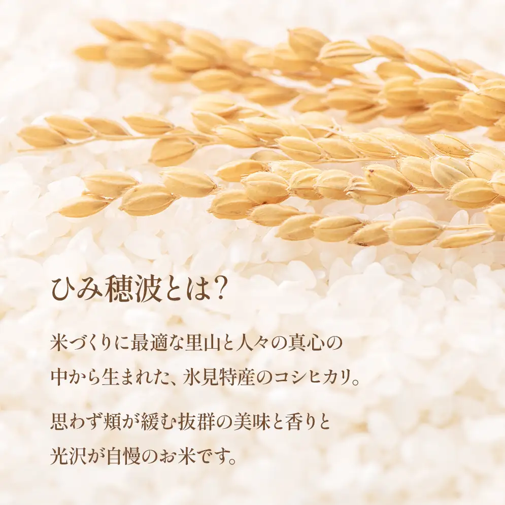 令和7年産 富山県産 コシヒカリ 《ひみ穂波》 10kg　 富山県 氷見市 こしひかり