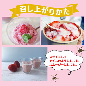 お手軽 小分け 冷凍いちご 約 500g ( 100g x 5パック ) | 果物 イチゴ いちご