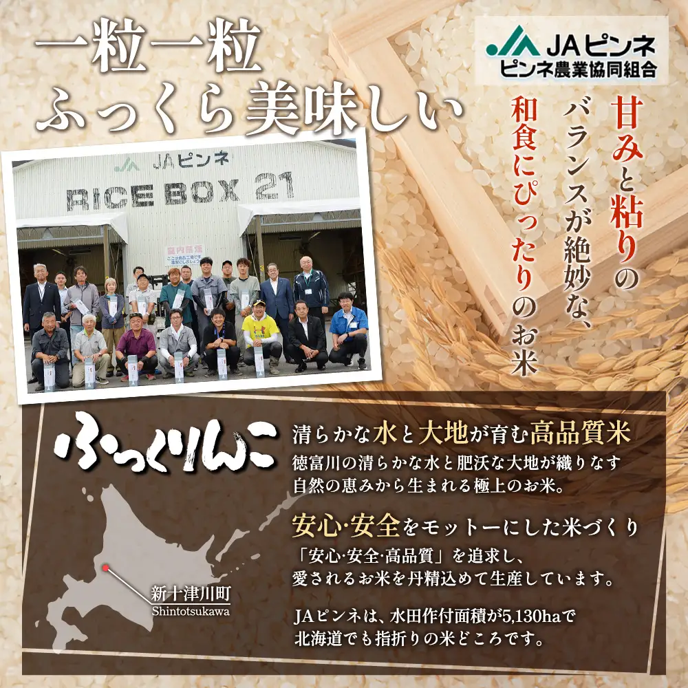 【令和8年度産】ふっくりんこ精米 (10kg)【1101608】