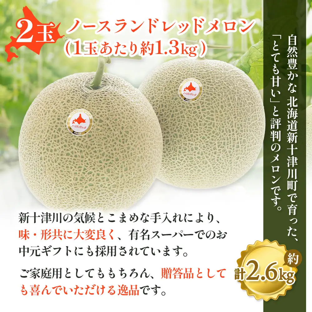 【数量限定】 赤肉メロン２玉・ミニメロンゼリーセット【令和8年７月～８月上旬発送】【1201707】