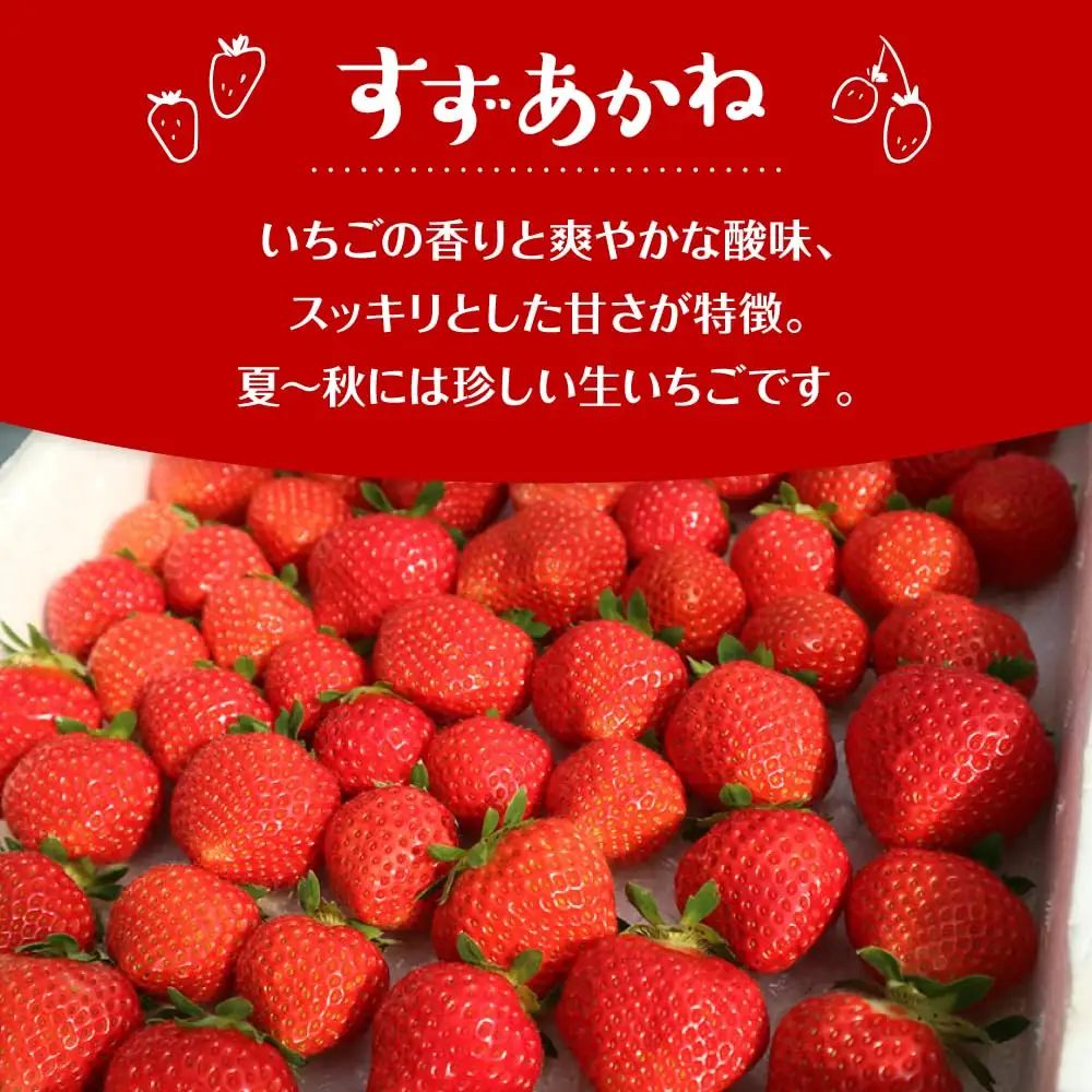 夏いちご すずあかね  計600g [AXBT003] いちご