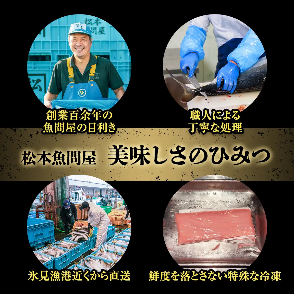 【偶数月 全6回 定期便】氷見漁港 海鮮刺身セット | 詰め合わせ 冷凍 刺身