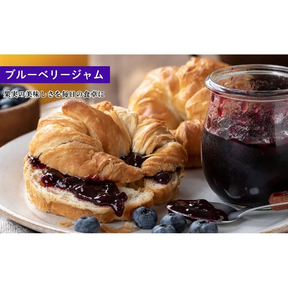 ブルーベリー詰め合わせセット