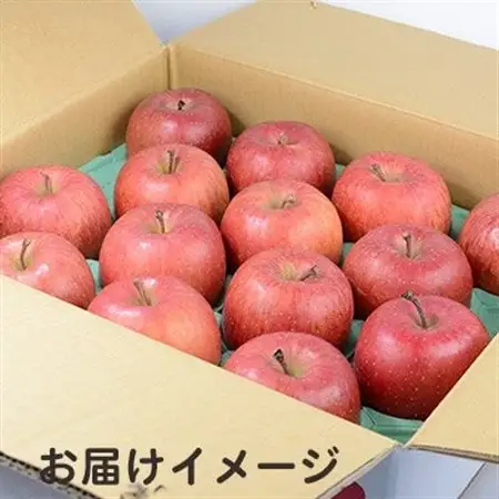 青森県黒石産シナノスイート家庭用　約5kg(18～23個入り)_果物・フルーツ りんご  リンゴ 林檎_【1324334】